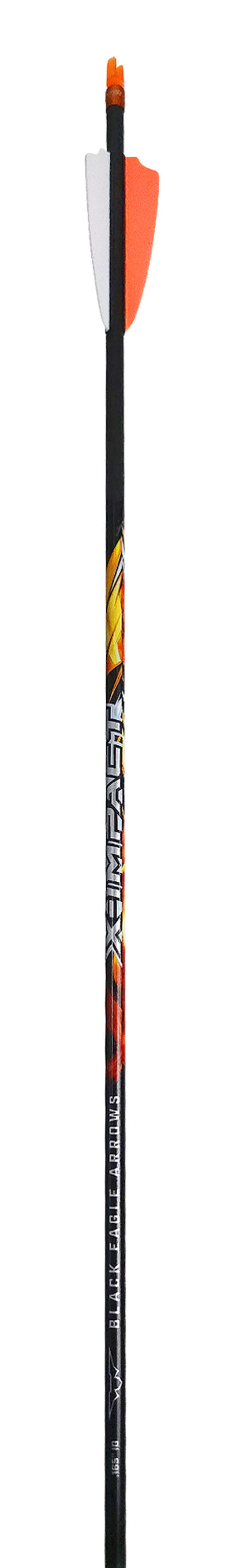 X IMPACT ARROWS - NEW LABEL - SPINE ALIGNED